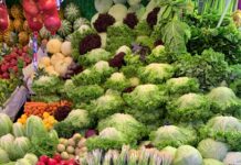 건강재료를 활용한 건강한 샐러드 green and yellow vegetables and fruits