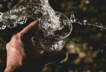 디톡스식단으로 건강한 간 만들기 person holding drinking glass filled with water