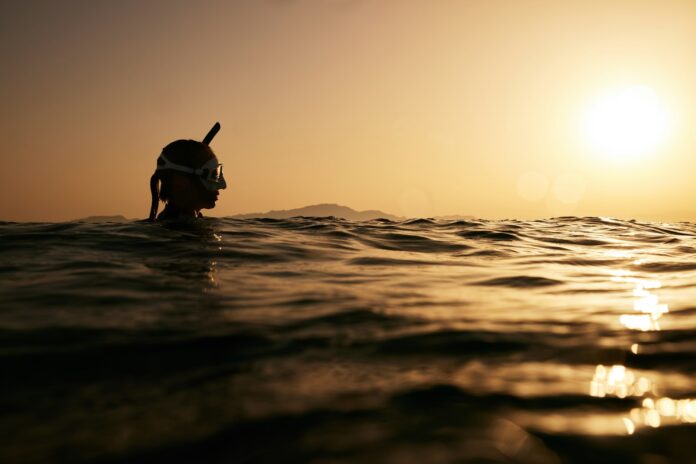 a person swimming in the ocean at sunset