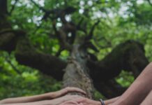 커뮤니티 형성에 도움이 되는 ,신체활동의 역할 a group of people holding hands on top of a tree