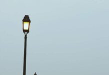 식사 후 카페인 없이 식곤증 해결하는 방법 people walking on park during daytime