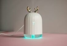 겨울철 면역력 강화법: 실내 환경 개선과 식단 an electronic device with two birds on top of it