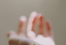 연령별 피부 건강: 호르몬 변화에 따른 피부 관리법 selective focus photography of white clustered flowers on left human hand