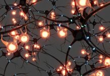 뇌 건강 지키는 생활습관, 일상 속 작은 변화가 중요하다 A bunch of lights that are on a tree